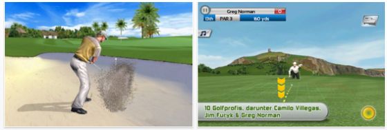 Screenshot_Real_Golf_2011